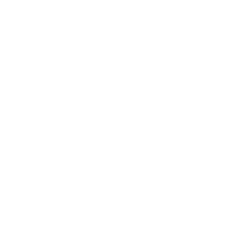 The Shadow